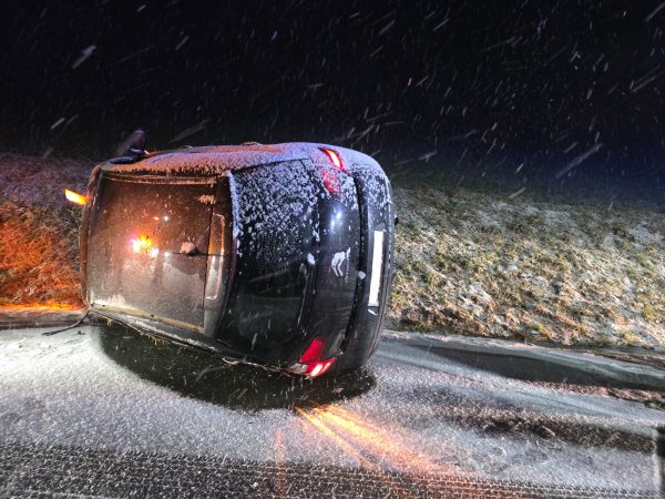 20251230_203353_bearb