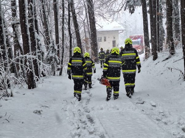 IMG-20260220-WA0008_quer